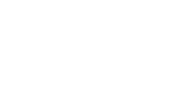 Rino Properties