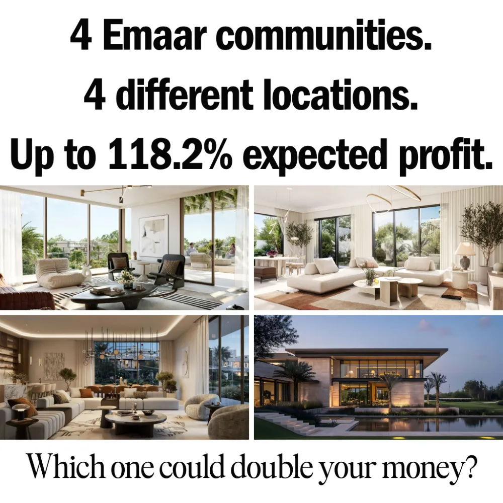 Image Ad 2