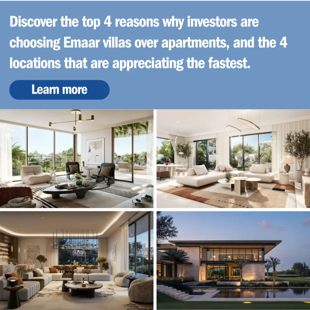 Image Ad 5