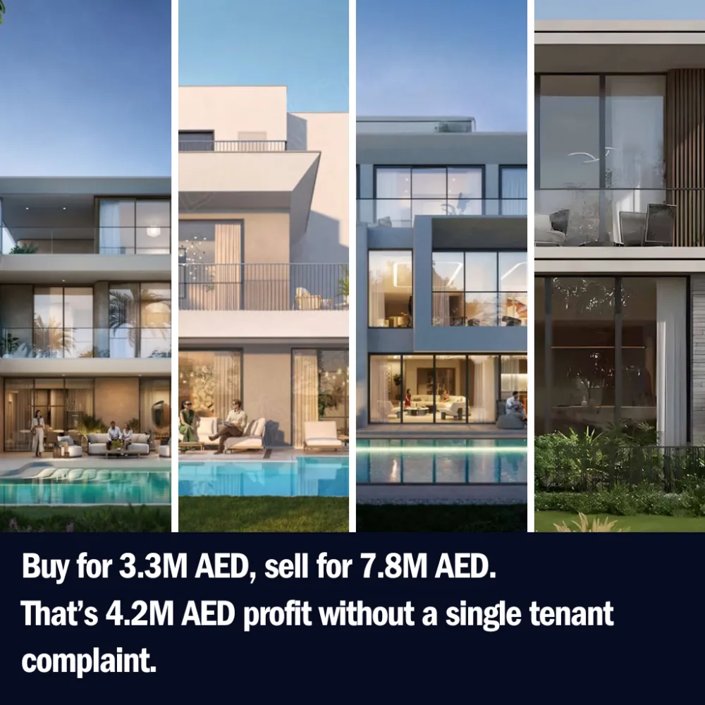 Image Ad 6